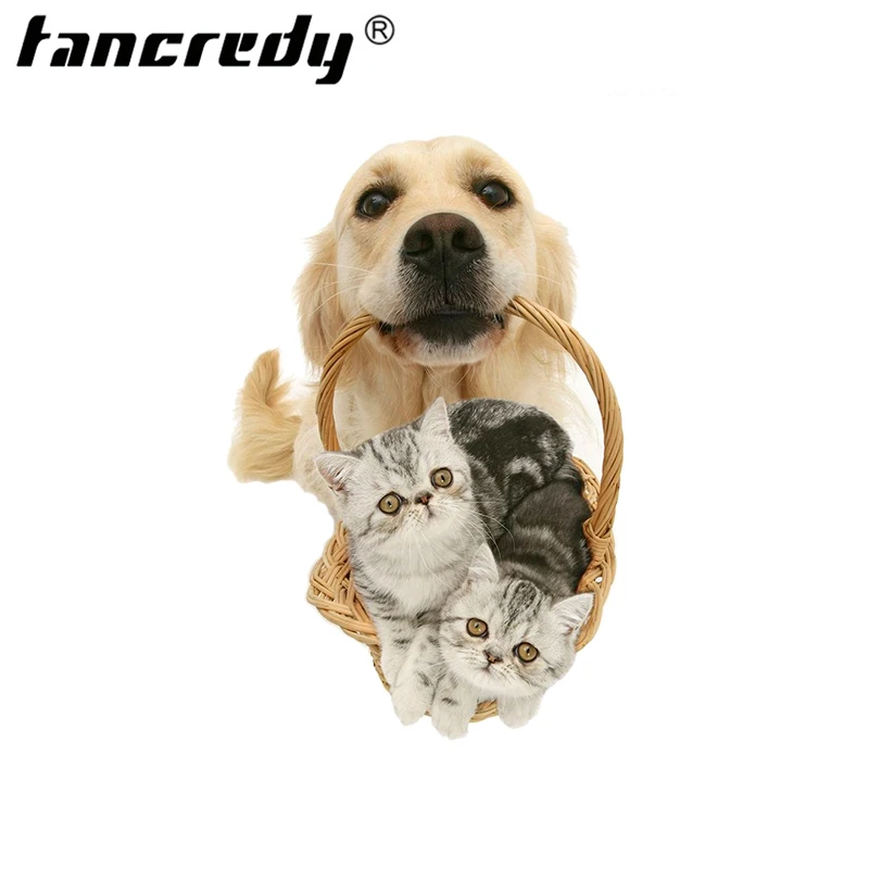 

Tancredy Personality Car Styling 22*14cm Cats and Dog Cartoon Car Sticker Colorful Window Body Vinyl Customized Sticker Decal