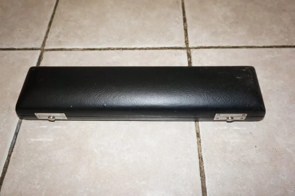 

Black color 16 holes Flute case velvet inside
