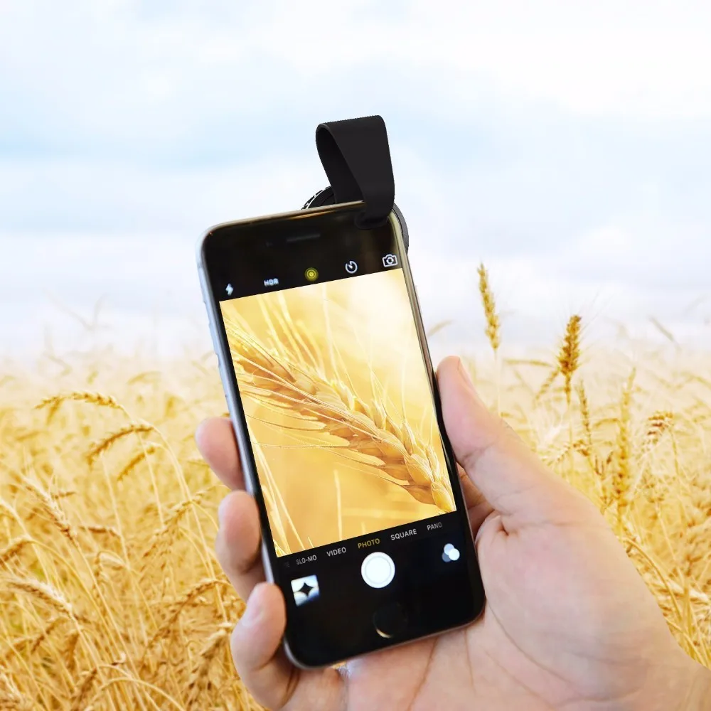 71iDAo9vkfL._SL1500_