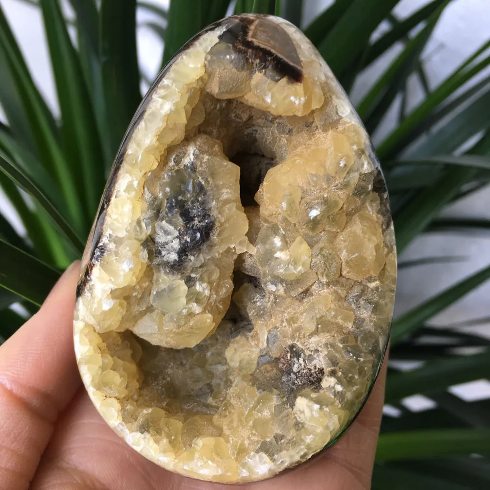 

313g Natural Septarian geode Crystal Mineral Specimens stone fengshui