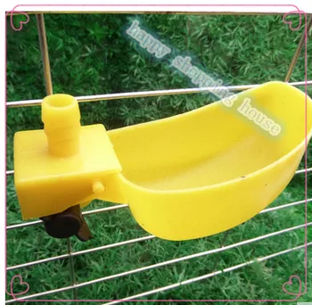 

Pet birds quail with autodrinker drinking bowl with drinking fountains drinking bowl half bird