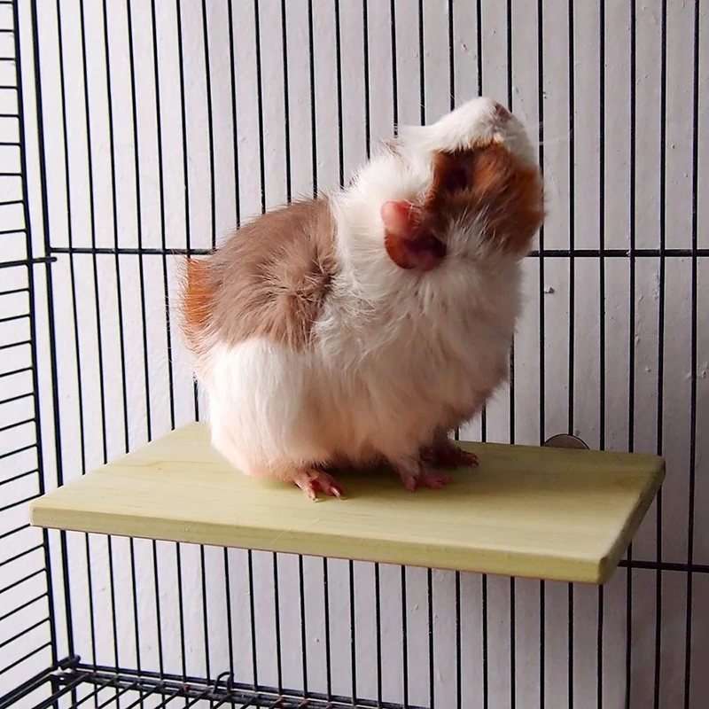 

Hamster Toys Seesaw Rat Swing Mouse Harness Parrot Wooden Ladder Springboard