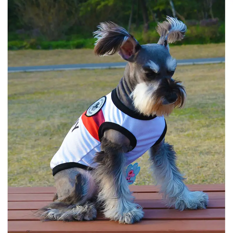 dogs in football jerseys