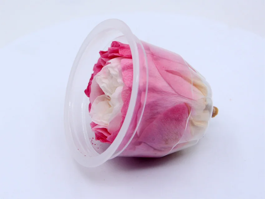 ms6p preserved austin rose flowers -18