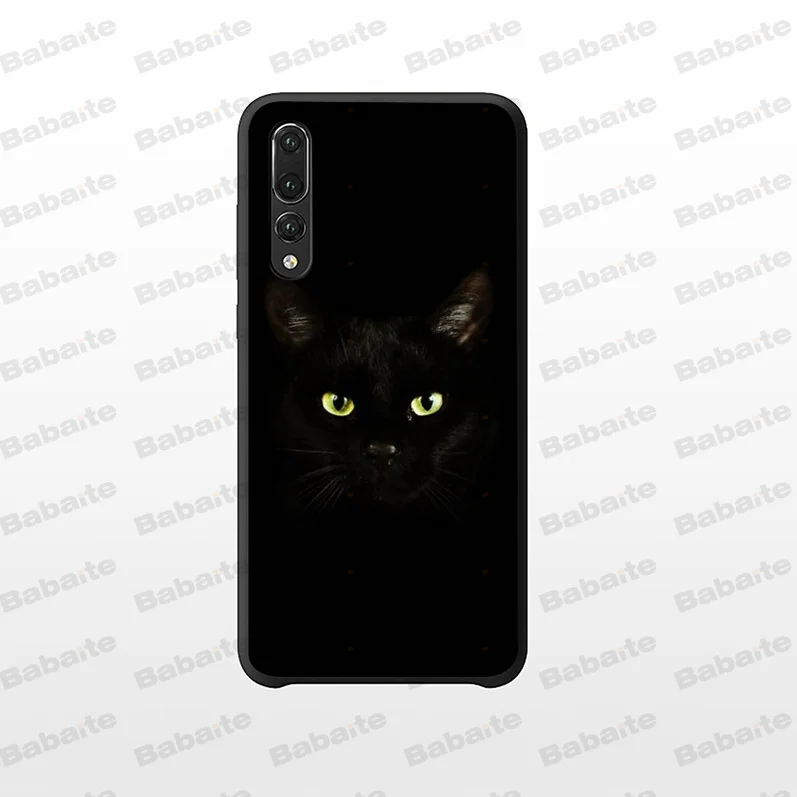 Black Cat Staring Eye