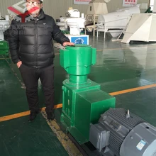 Профессионально руководство для того чтобы сделать вашу собственную мельницу гранул подачи для прессования дерева