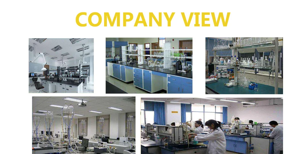 comnpany view(1)