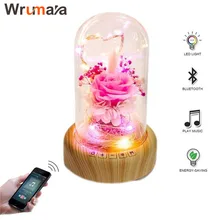 Wrumava Wishing Bottle LED Night Night Light Bluetooth Speaker Flowers USB Bedside Table lamp for Birthday Party Festival Room