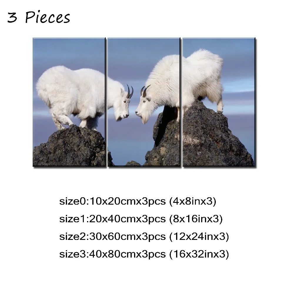 3P- 