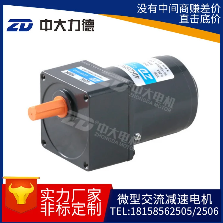 

25W40W60W miniature small AC speed gear reduction gear motor