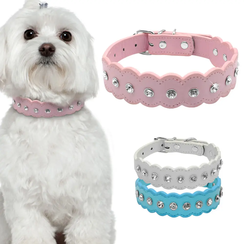 cool dog collars female