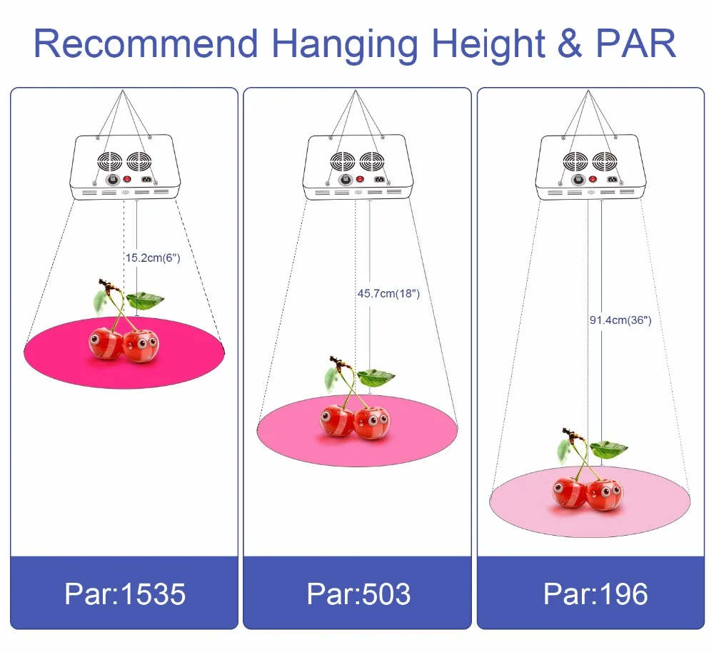 5.PAR