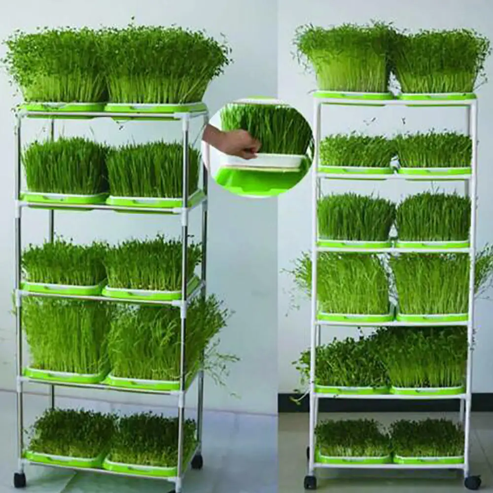 Sprouter Nursery Tray Double-layer Soilless Culture Beans Hydroponic Nursery Tray Hidroponia Seedling Tray Garden Supplies