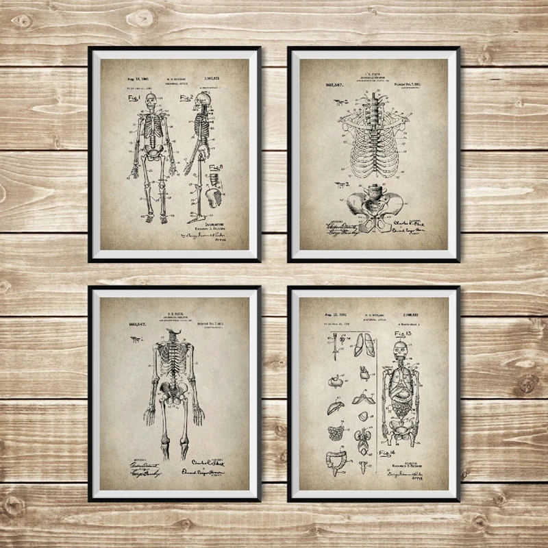 Skeleton Anatomy Print