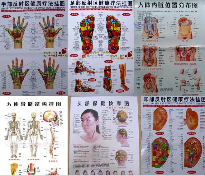 10 шт. скалывание здоровье человека Акупунктура настенная диаграмма ноги рука голова уха Акупунктура Меридиан диаграмма