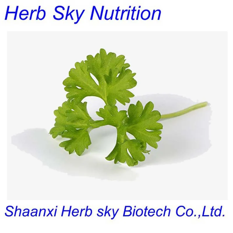 100Nature Parsley Extract Powder 100g/lot free shipping by EMSin