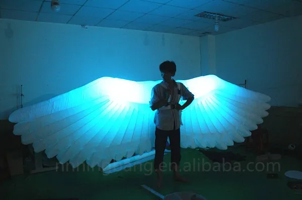 inflatable wing (3)