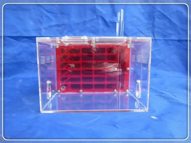 ant-workshop (10)