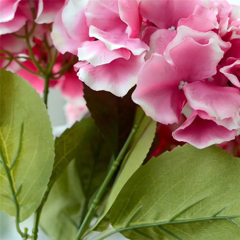 ZS461Darkpink (8)