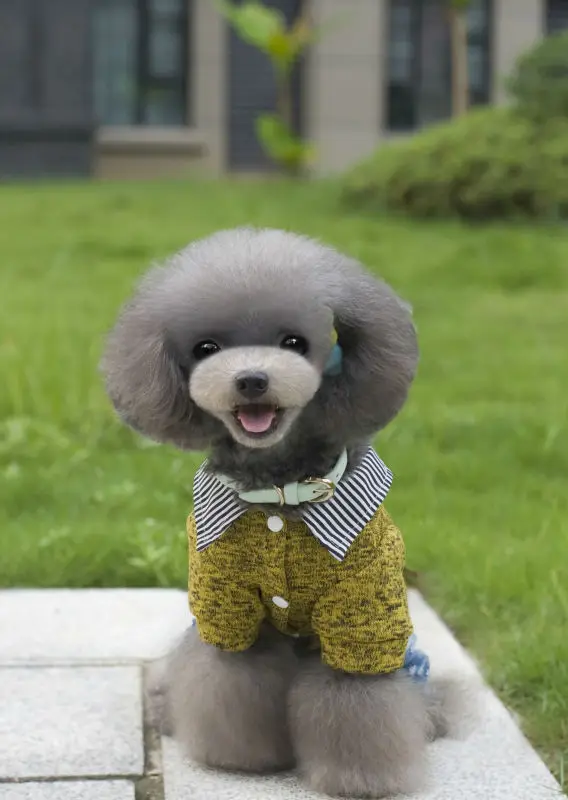 Y117_2016_Winter_Pet_dog_Fleece_sweater_clothes_Lovely_super_Warm_Fleece_4_legs_clothes_for_Puppy_dog_Jumpsuit_Coverall_Costume_Apparel_ (8)