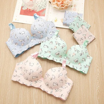 2016 japanese Cotton teenage girls underwear set Girl Bra