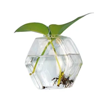 Творческое, настенное прозрачное стеклянная гидропонная ваза для гостиной, устройство для домашнего декора с 1 бесплатным крюком без повреждений(Шестигранная форма