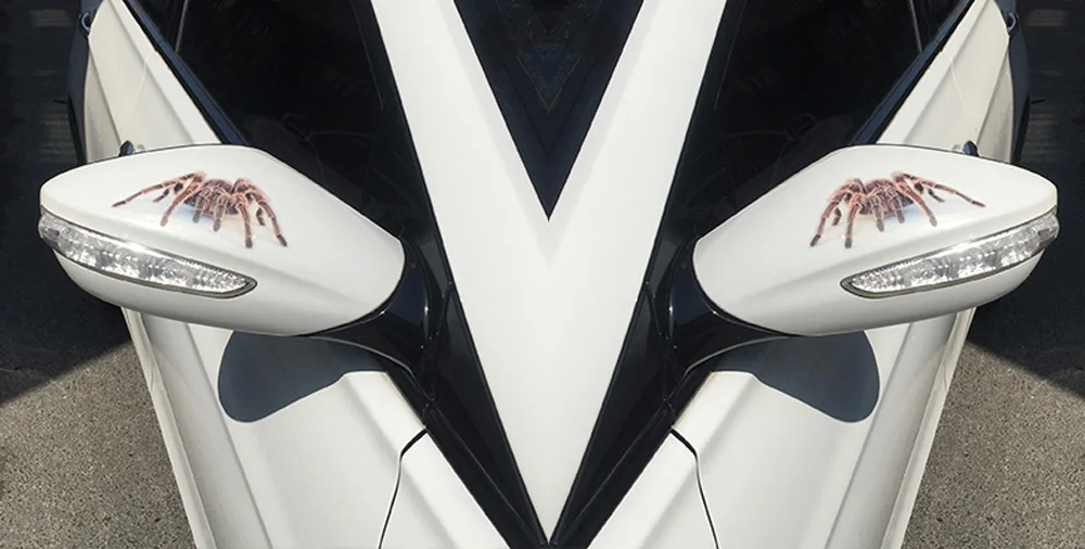 F7