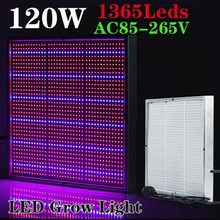 [Семь Neon] 2 шт. E27 120 Вт AC85-265V 1131Red: 231 синий привело светать высокой Мощность для цветущих растений и Гидропоника завод расти лампы