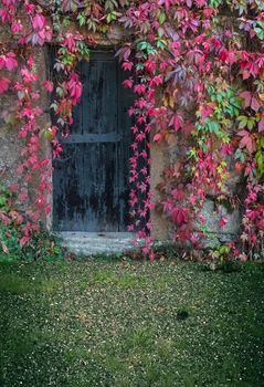 

Photography backdrops Old grunge barn doors vinyl photography backdrops for studio baby photobooth customized backdrop XT-5154