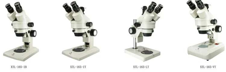 XTL-165 01