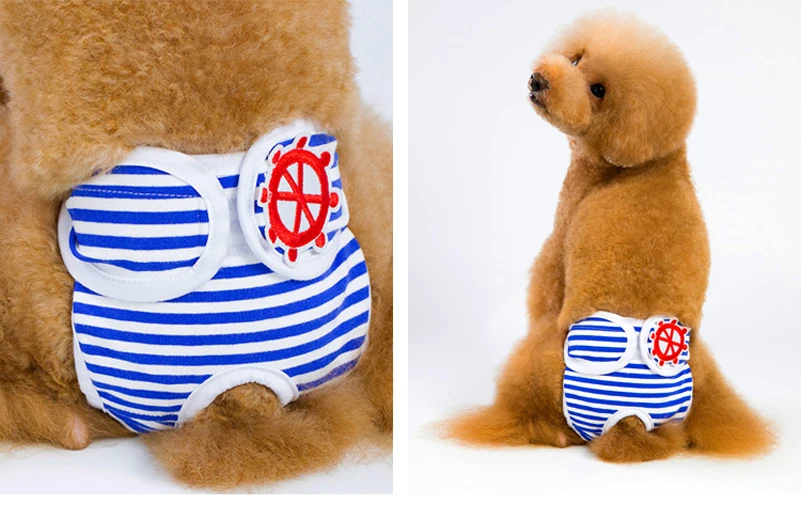 20180824_105356_011