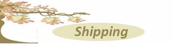 Shipping