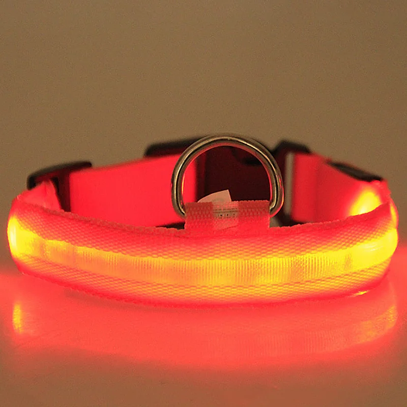 Fashion LED Pet Dog Collar Light Night Safety Glow Pet Supplies In The Dark Dog Leash Dog Accessories For Puppy Cat Chihuahua (9)
