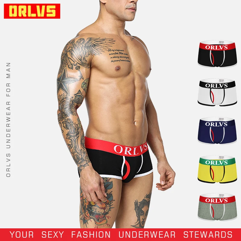 

ORLVS Brand Sexy Gay Boxers Comfortable Underwear Mesh Breathable Cotton Cueca Mesh Male Panties Men Knickers Solid OR47