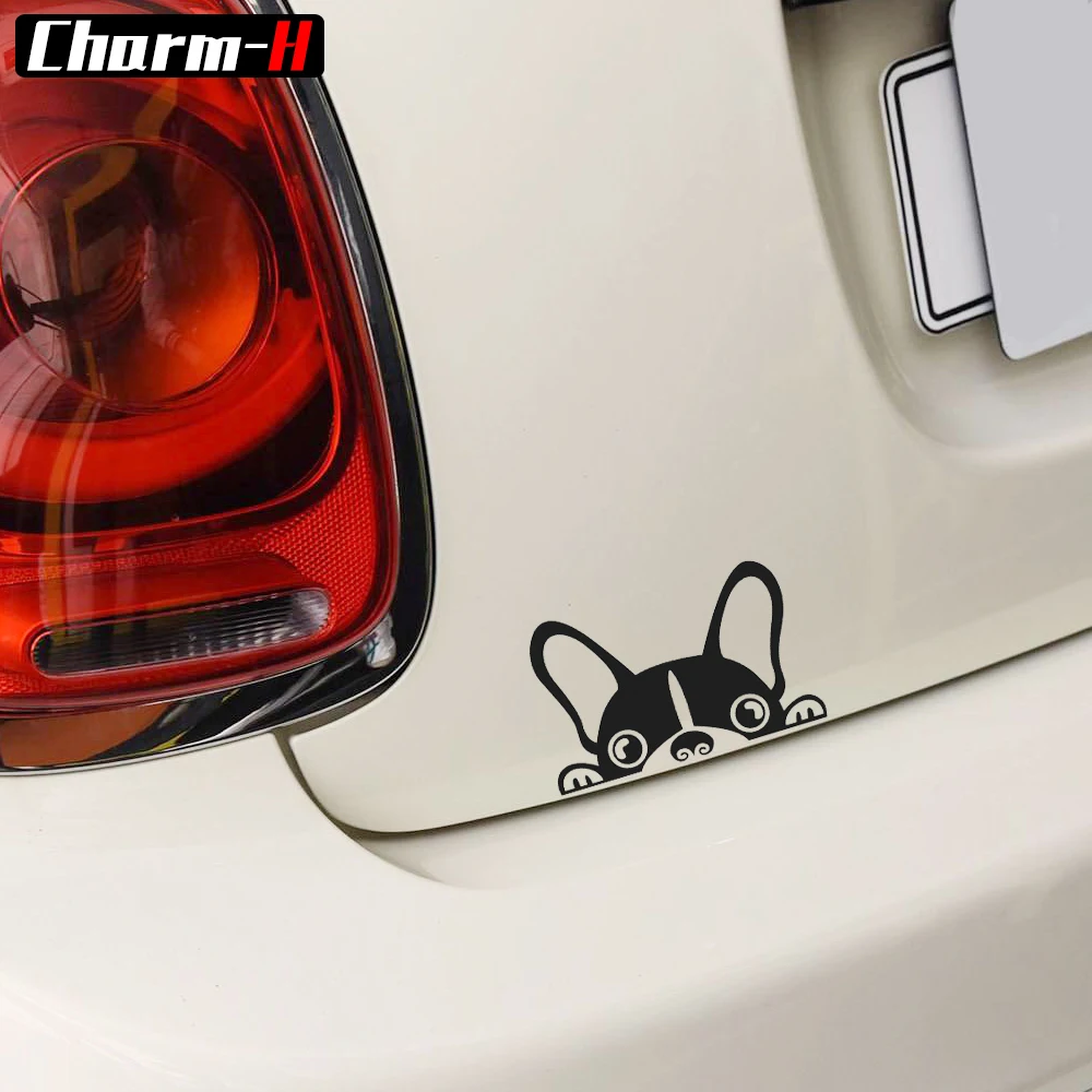 Reflective Vinyl Peep Dog Rear Windshield Anti Scratch Trunk Bumper Window Decals Sticker for Mini Cooper S R50 R52 R53 R56 F55