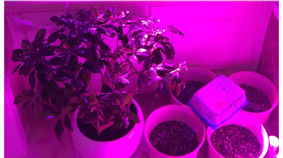 LED GROWTH LAMP (8)