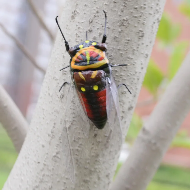 2 шт. моделирование cicadas игрушки специальные Реалистичные Модели моделирования насекомых игрушка детский сад украшения магнит на холодильник