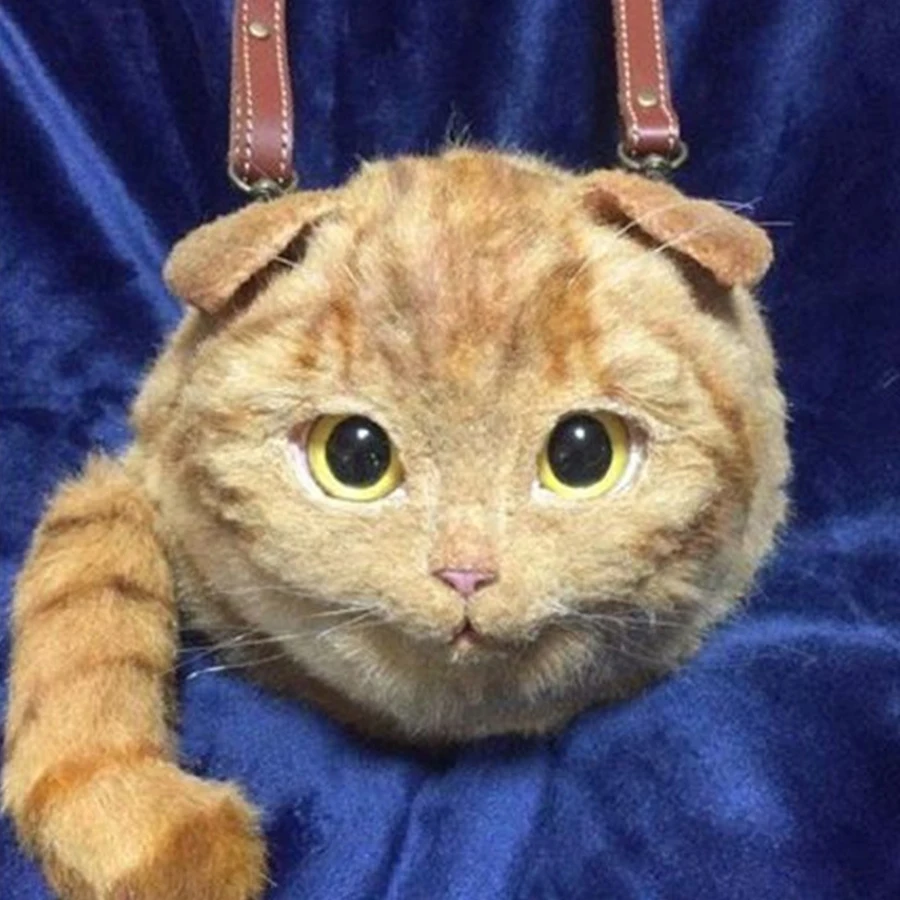Коты Настоящие Заказать