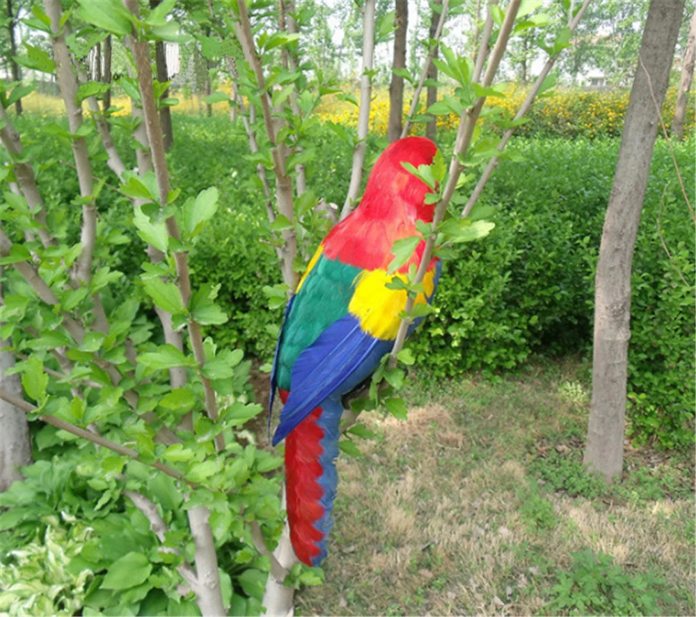 Fancytrader Simulation Macaw Parrot Model Toy   Colorful Bird Doll Made of Plastic Foam & Feathers Parrot Xmas gift10