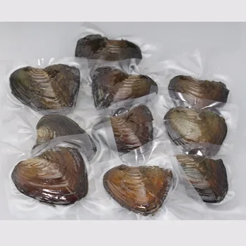 

Kids Party Gifts AAA Grade 7-8 mm Multicolor Round Pearl in Freshwater Oyster Vacuum Packing Material For Jewelry DIY FR030