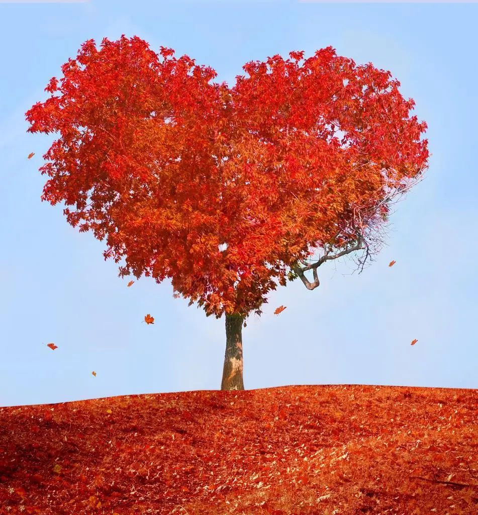 

10x10ft Valentine's day theme Photography Backdrops Vinyl Prop Photo Studio Background QRL359