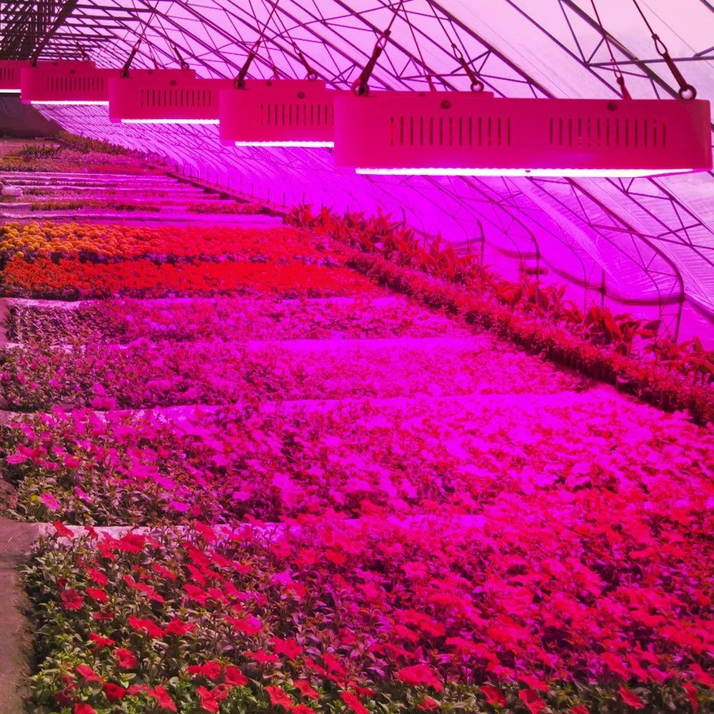 CREE CXB3590 300 Вт 600 Вт 3500 К COB светодиодный светильник для выращивания полный спектр использования MEANWELL Светодиодный драйвер для комнатных растения парниковые палатки для выращивания