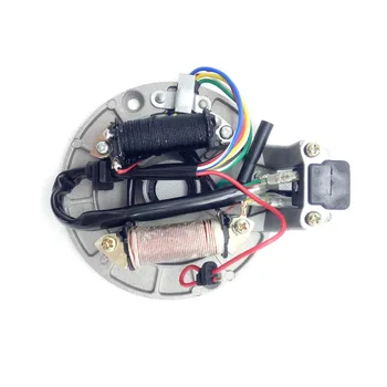 

2 Coil Magneto Stator Plate For 70cc 90cc 110cc 125cc Dirt Bike ATV Go Kart Quad Buggy