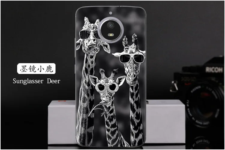 7987884455_2032621672