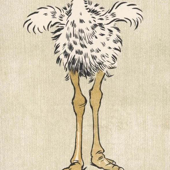 Baby Ostrich Aldin 1907 Poster Print By Mary Evans Picture Library (24 X 36)