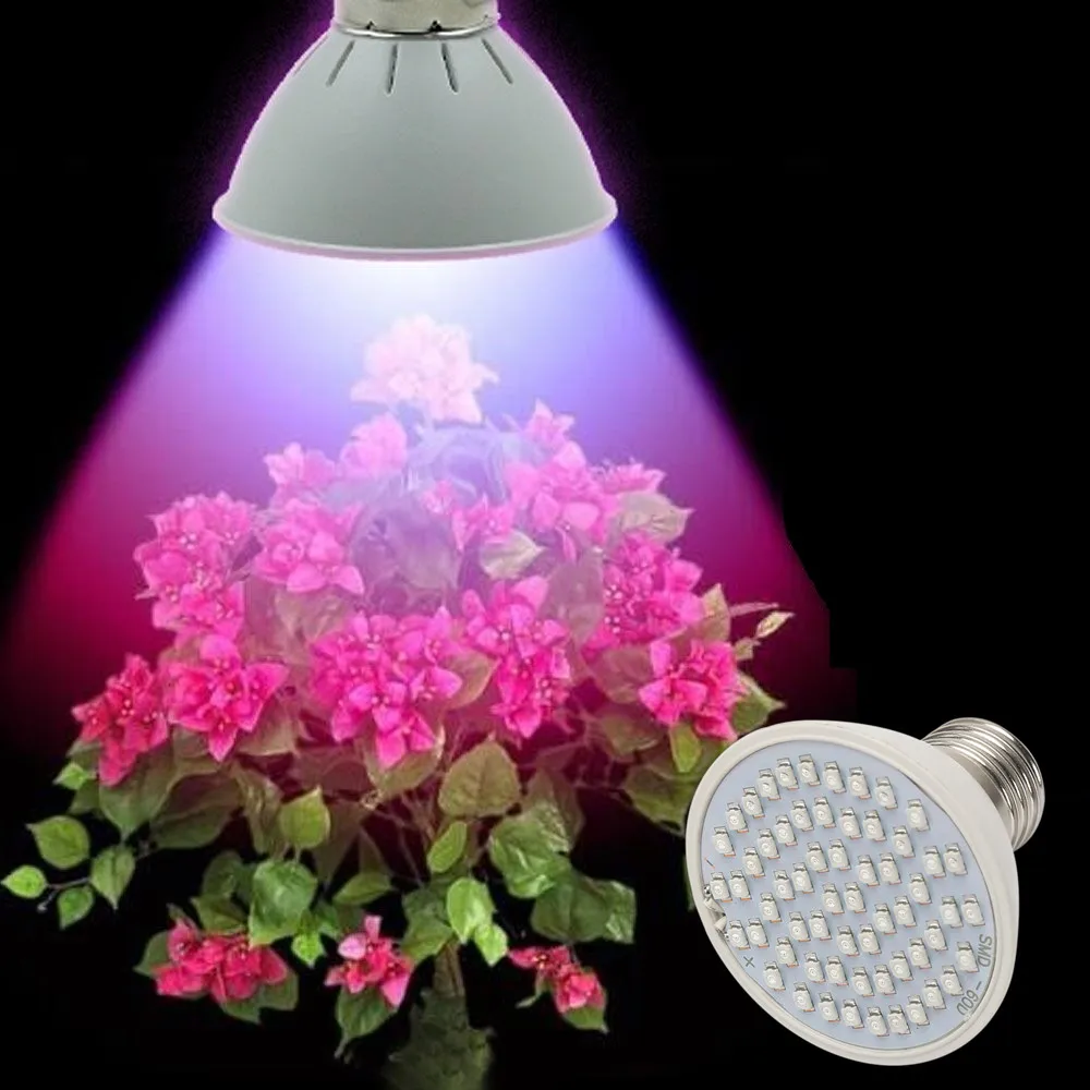 E27 5W 40Red20Blue 60 LEDs Grow Light for Flowering Plant and