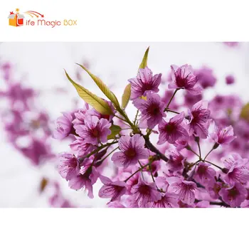

LIFE MAGIC BOX Background for Photography Purple Big Flowers Newborn Baby Photo Backdrops for Studio