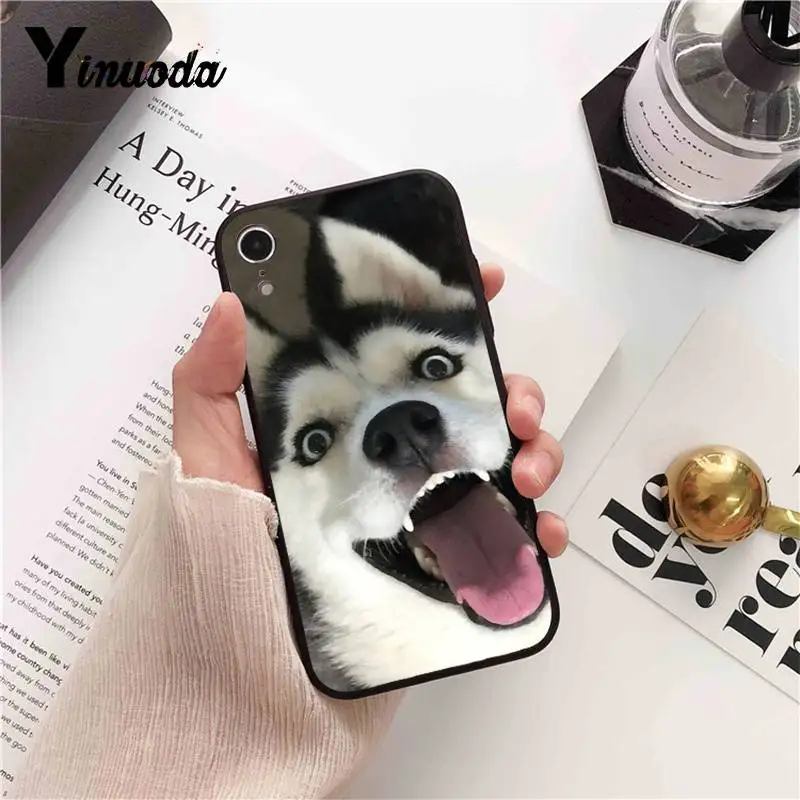 Animal Husky cute Puppy Dog