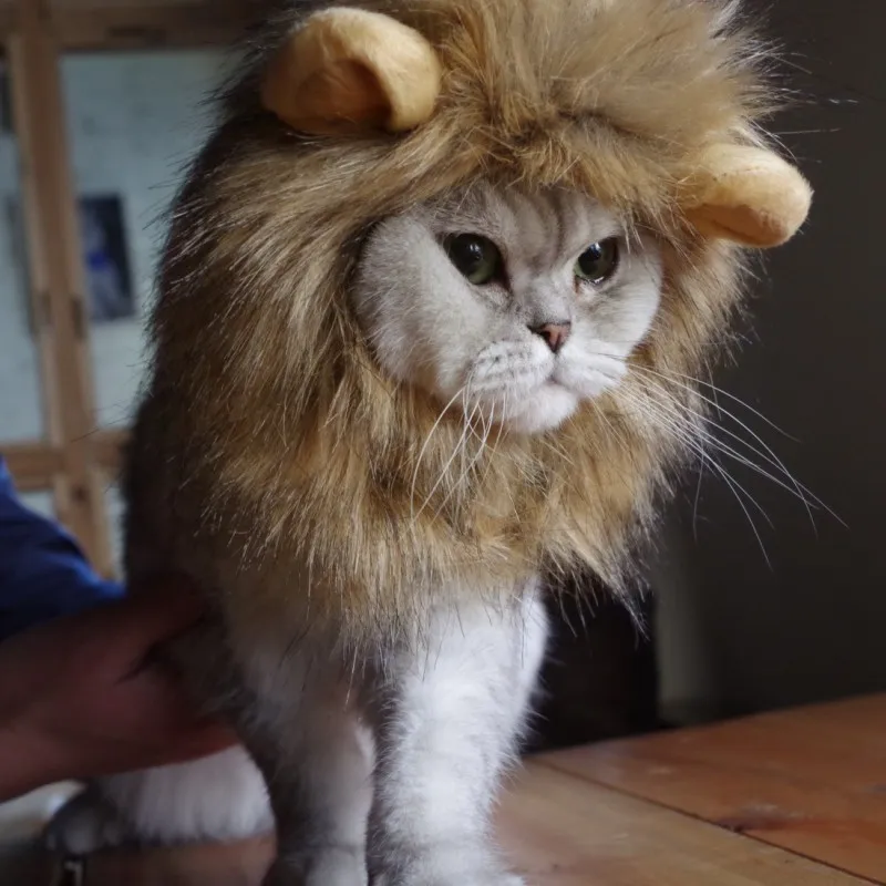 Sombrero para perros pequeños y gatos. Disfraz de león