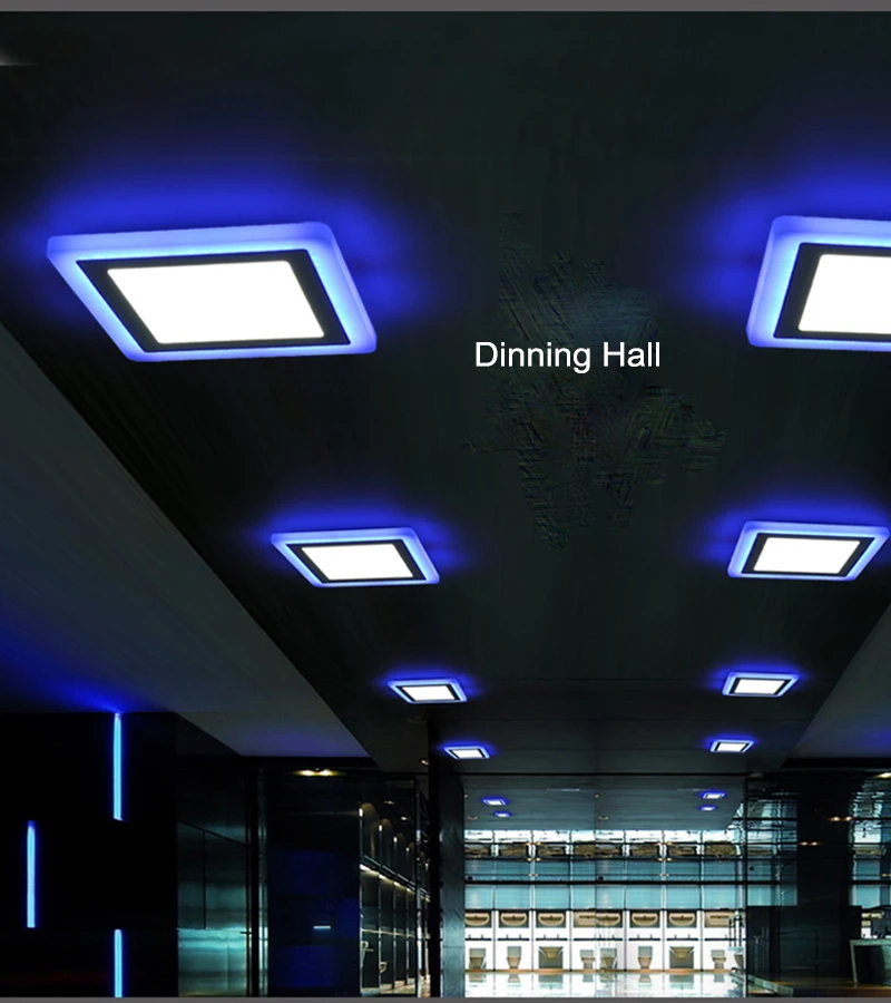 0303 Double color LED Panel Lights round LED Panel Lamps 08